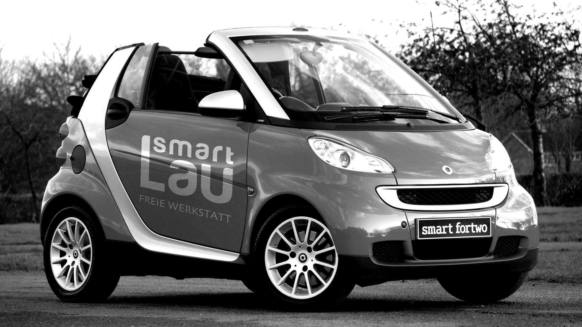 cd-smartlau-01